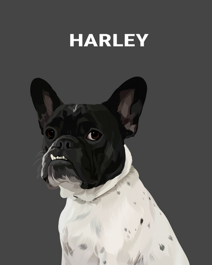 Custom Single Pet Portrait - Digital File